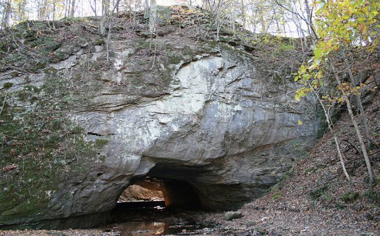 Rock Bridge Memorial State Park